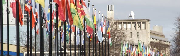 Many flags